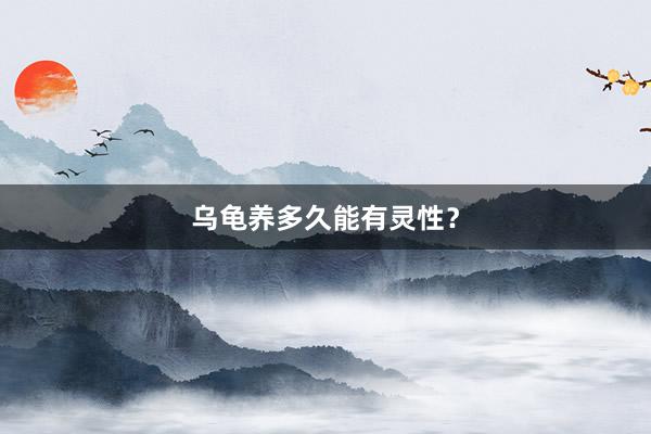 乌龟养多久能有灵性？