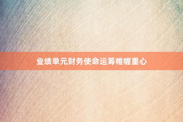 业绩单元财务使命运筹帷幄重心